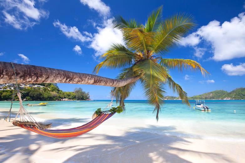 v1nds74jecd3n9ysghxi5qkhjocq_shutterstock_274637669.avif